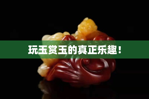 玩玉赏玉的真正乐趣！