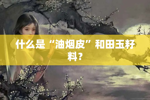 什么是“油烟皮”和田玉籽料？