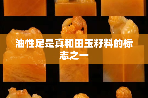 油性足是真和田玉籽料的标志之一