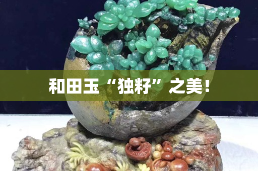 和田玉“独籽”之美！