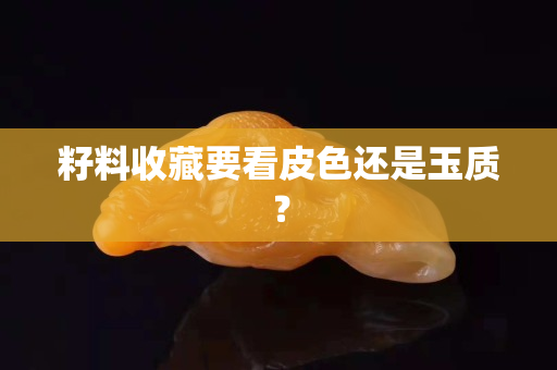 籽料收藏要看皮色还是玉质？