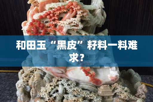 和田玉“黑皮”籽料一料难求？