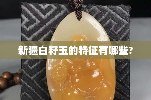 新疆白籽玉的特征有哪些?