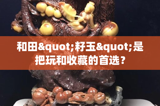 和田"籽玉"是把玩和收藏的首选？