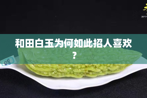 和田白玉为何如此招人关注国石之家？