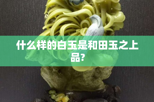 什么样的白玉是和田玉之上品?