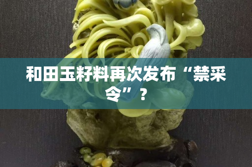 和田玉籽料再次发布“禁采令”？