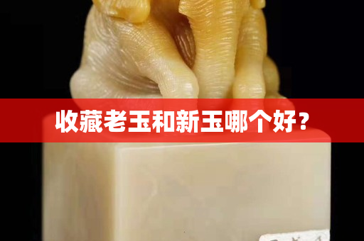 收藏老玉和新玉哪个好？