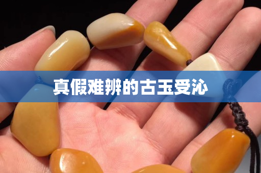 真假难辨的古玉受沁