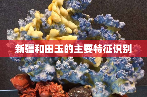 新疆和田玉的主要特征识别