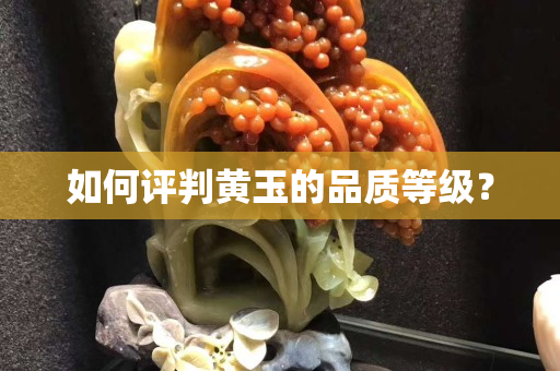 如何评判黄玉的品质等级？