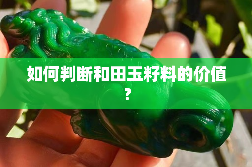 如何判断和田玉籽料的价值？