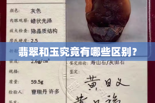 翡翠和玉究竟有哪些区别？