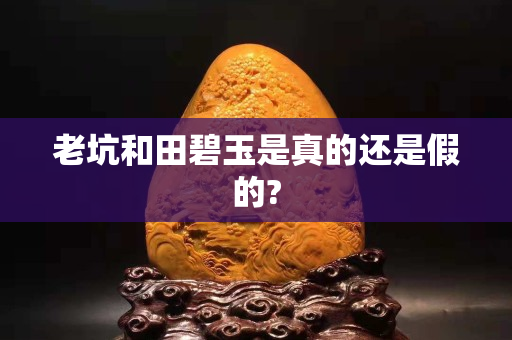 老坑和田碧玉是真的还是假的?