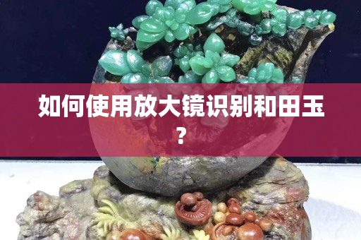 如何使用放大镜识别和田玉?