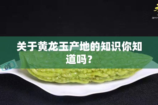 关于黄龙玉产地的知识你知道吗？