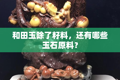 和田玉除了籽料，还有哪些玉石原料？