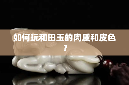 如何玩和田玉的肉质和皮色？