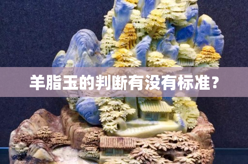 羊脂玉的判断有没有标准？
