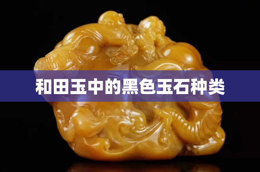 和田玉中的黑色玉石种类