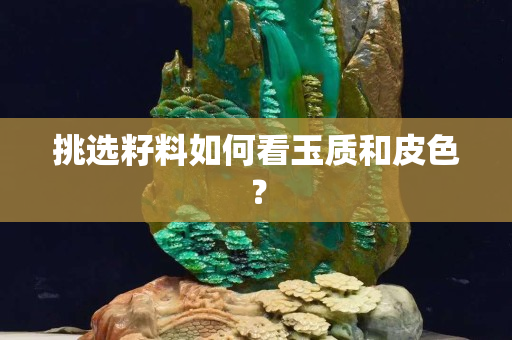 挑选籽料如何看玉质和皮色？