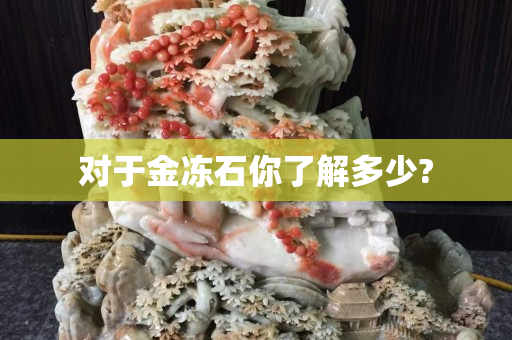 对于金冻石你了解多少?