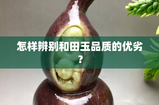 怎样辨别和田玉品质的优劣？