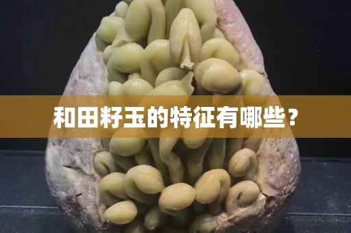 和田籽玉的特征有哪些？