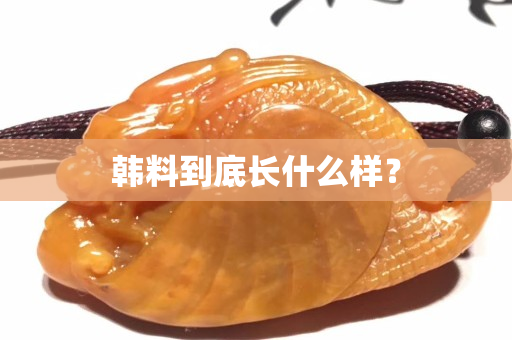 韩料到底长什么样？