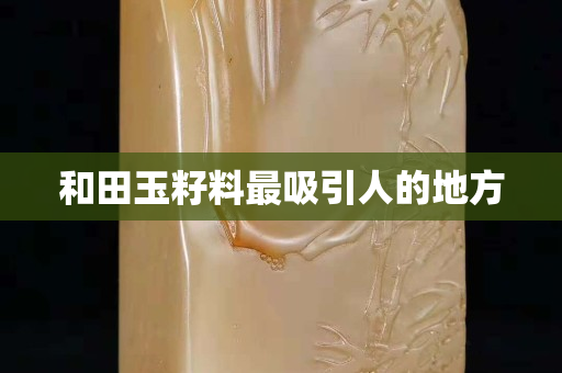 和田玉籽料最吸引人的地方