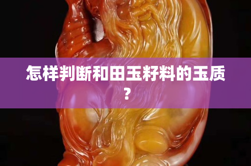 怎样判断和田玉籽料的玉质？