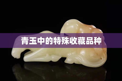青玉中的特殊收藏品种