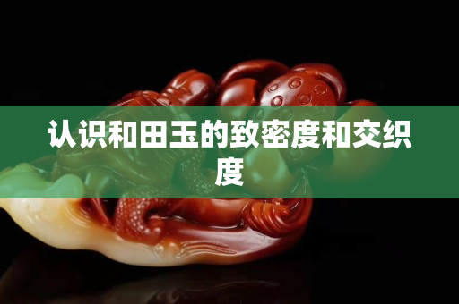 认识和田玉的致密度和交织度