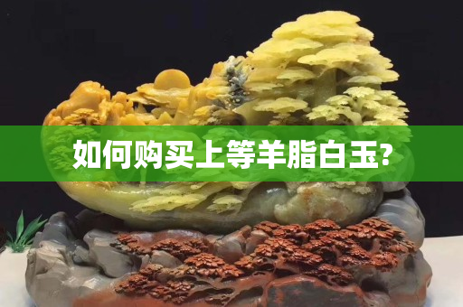 如何购买上等羊脂白玉?