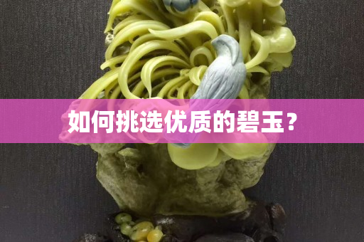 如何挑选优质的碧玉？