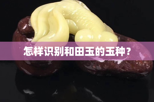 怎样识别和田玉的玉种？