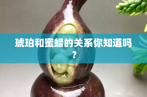 琥珀和蜜蜡的关系你知道吗？