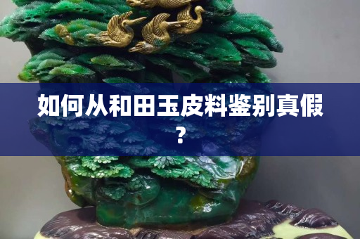 如何从和田玉皮料鉴别真假?