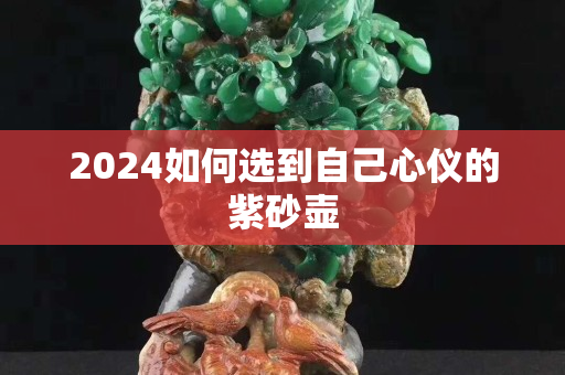 2024如何选到自己心仪的紫砂壶