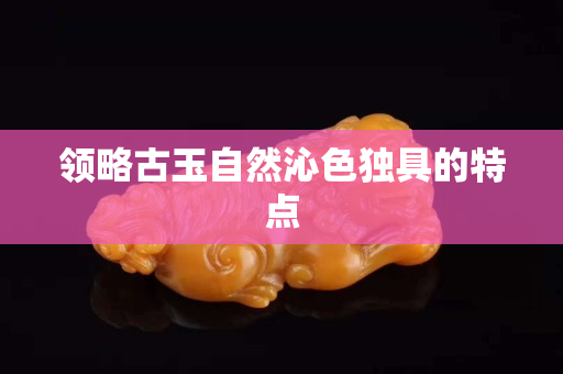 领略古玉自然沁色独具的特点