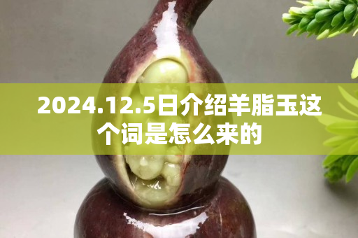 2024.12.5日介绍羊脂玉这个词是怎么来的