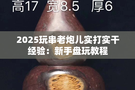 2025玩串老炮儿实打实干经验：新手盘玩教程