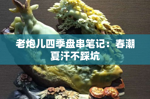 老炮儿四季盘串笔记：春潮夏汗不踩坑