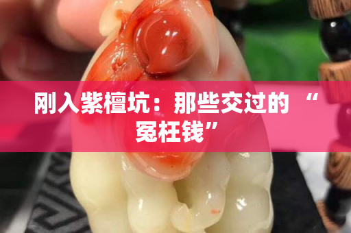 刚入紫檀坑：那些交过的 “冤枉钱”