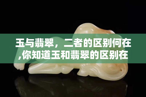 玉与翡翠，二者的区别何在,你知道玉和翡翠的区别在哪里吗？