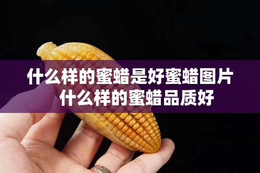 什么样的蜜蜡是好蜜蜡图片   什么样的蜜蜡品质好