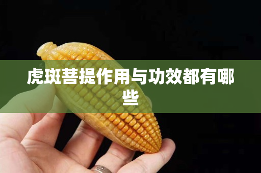 虎斑菩提作用与功效都有哪些