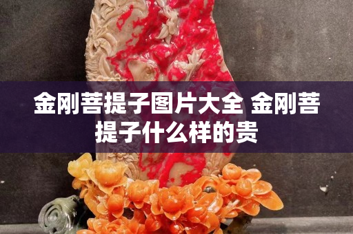 金刚菩提子图片大全 金刚菩提子什么样的贵