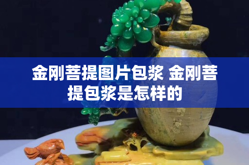 金刚菩提图片包浆 金刚菩提包浆是怎样的