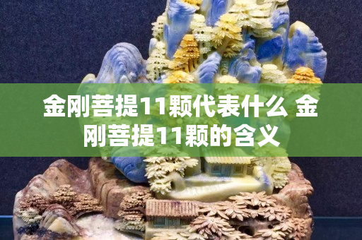 金刚菩提11颗代表什么 金刚菩提11颗的含义